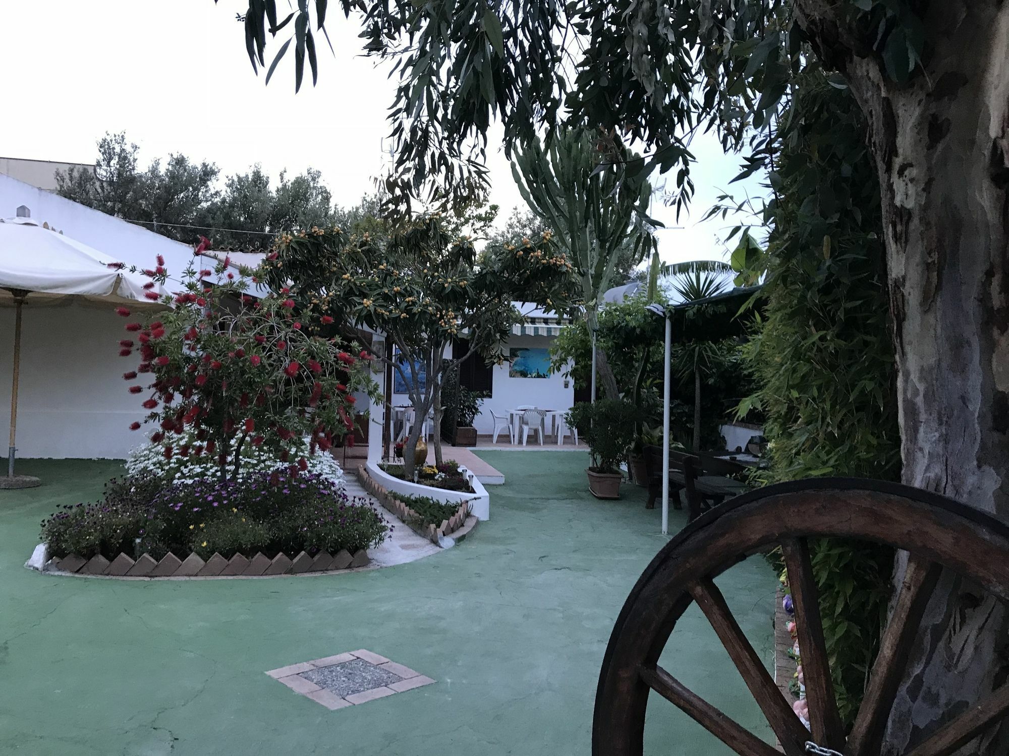 Residenza Margherita 파르겔리아 외부 사진